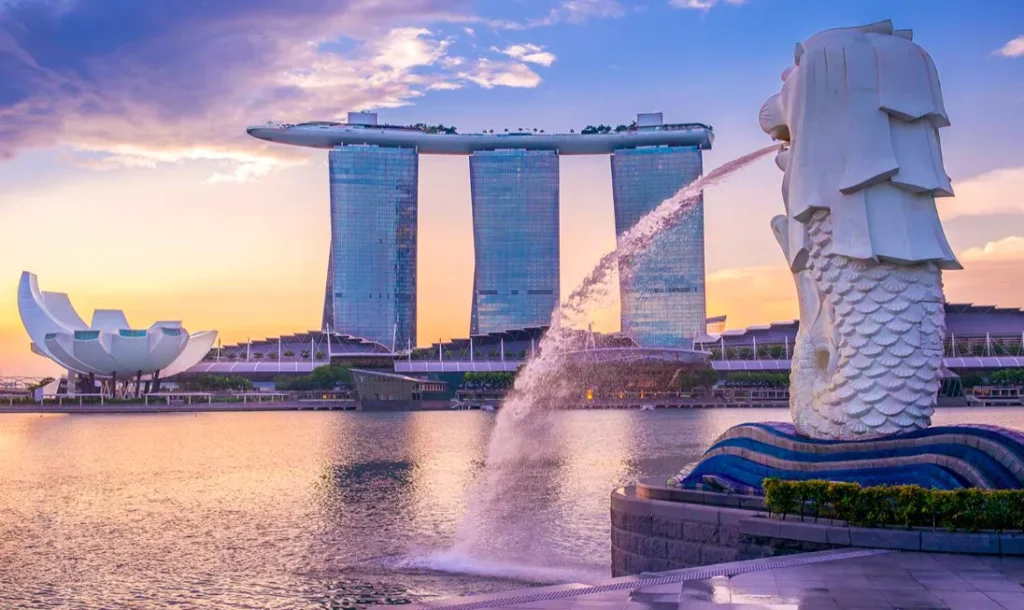 International Directors Programme in Singapore (IDP)