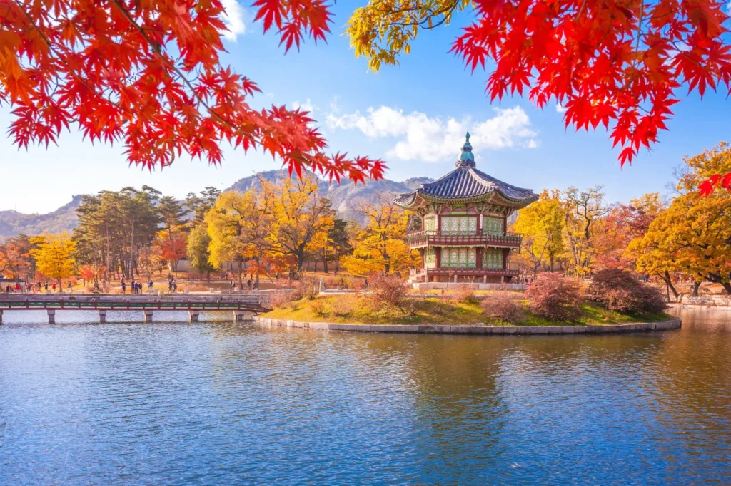 Sustainability Leadership Programme in Korea (SLP)